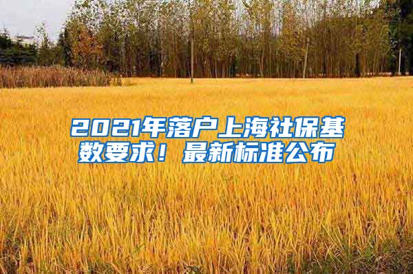 2021年落户上海社保基数要求！最新标准公布