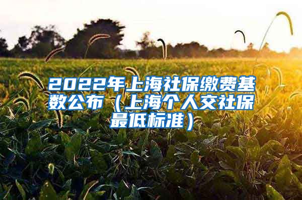 2022年上海社保缴费基数公布（上海个人交社保最低标准）