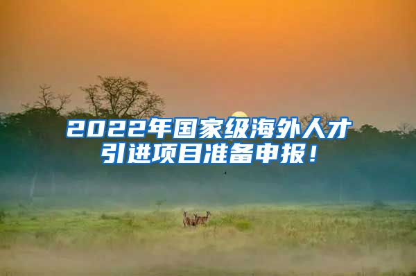 2022年国家级海外人才引进项目准备申报！