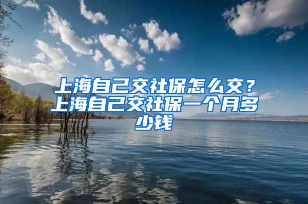 上海自己交社保怎么交？上海自己交社保一个月多少钱