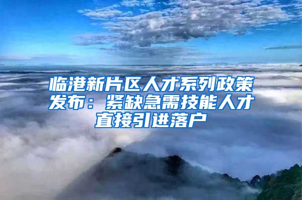 临港新片区人才系列政策发布：紧缺急需技能人才直接引进落户