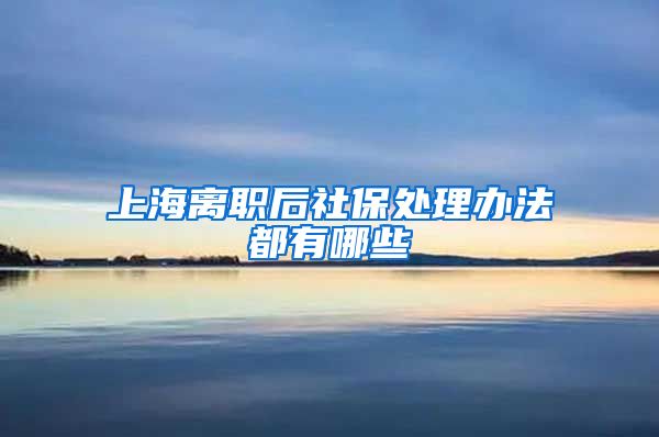 上海离职后社保处理办法都有哪些