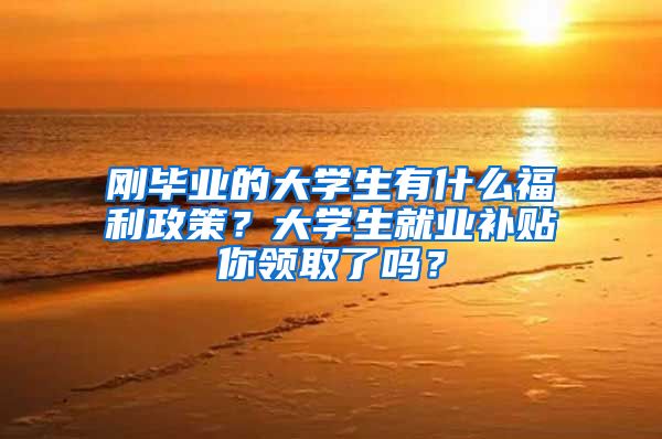 刚毕业的大学生有什么福利政策？大学生就业补贴你领取了吗？