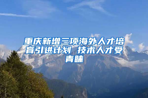 重庆新增三项海外人才培育引进计划 技术人才受青睐