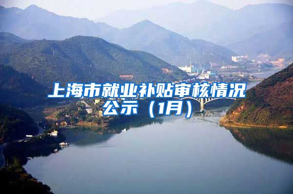 上海市就业补贴审核情况公示（1月）