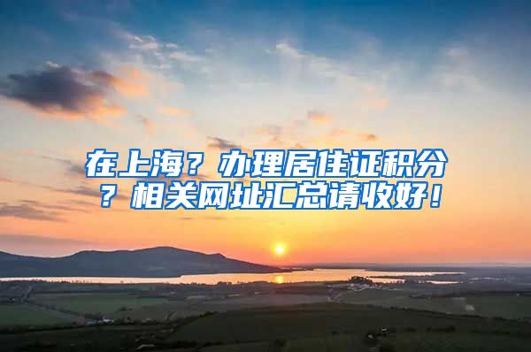 在上海？办理居住证积分？相关网址汇总请收好！