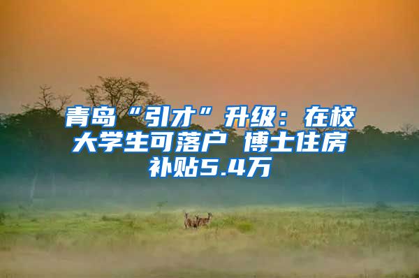 青岛“引才”升级：在校大学生可落户 博士住房补贴5.4万