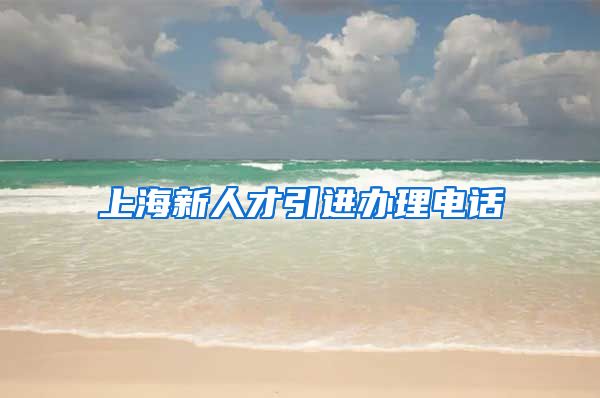 上海新人才引进办理电话