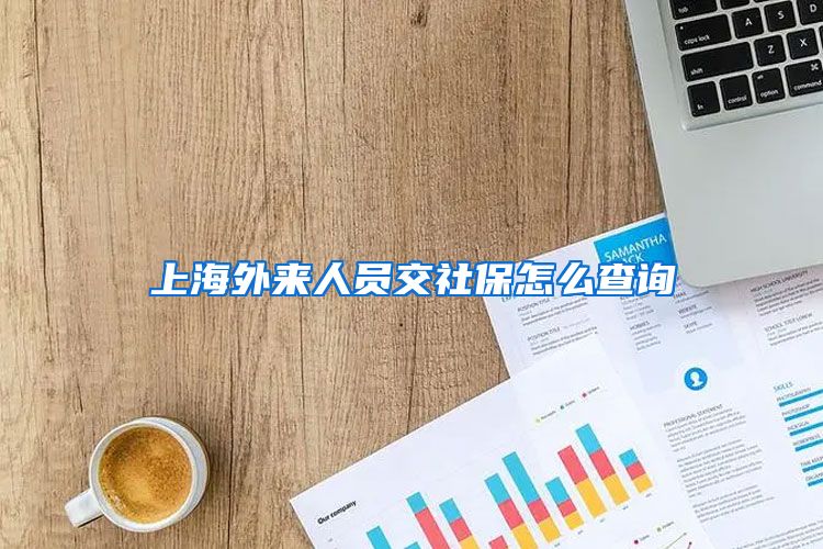 上海外来人员交社保怎么查询