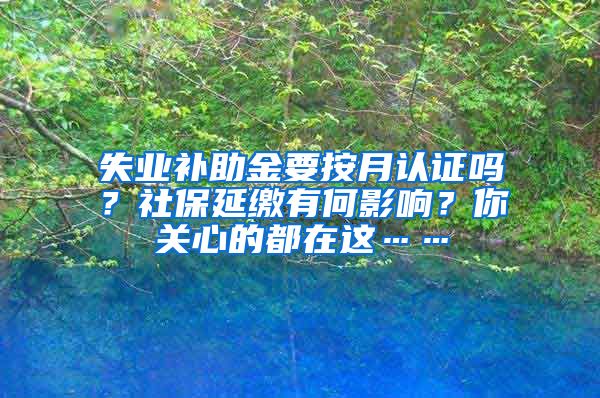 失业补助金要按月认证吗？社保延缴有何影响？你关心的都在这……