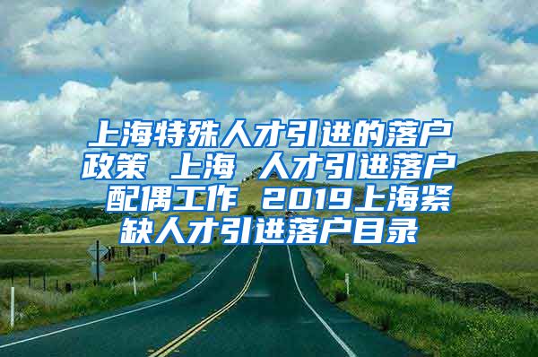 上海特殊人才引进的落户政策 上海 人才引进落户 配偶工作 2019上海紧缺人才引进落户目录