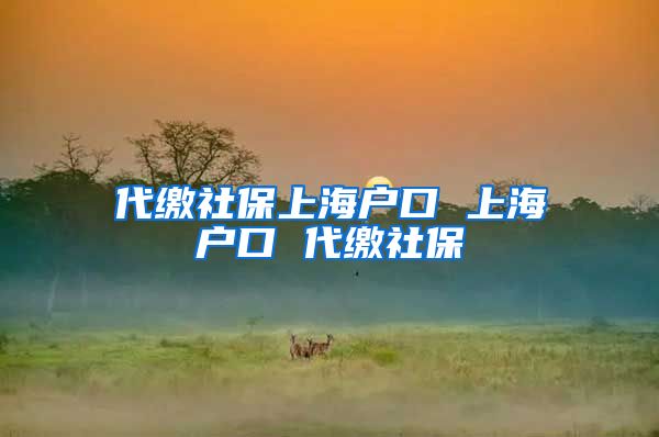 代缴社保上海户口 上海户口 代缴社保