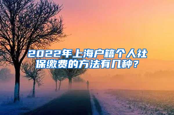 2022年上海户籍个人社保缴费的方法有几种？