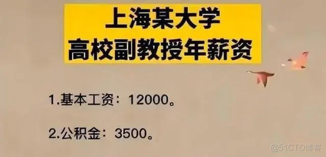 985高校副教授晒年薪，公积金顶普通人月薪，网友：不愧是在上海_机器学习_06