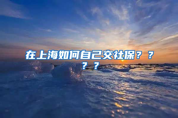 在上海如何自己交社保？？？？