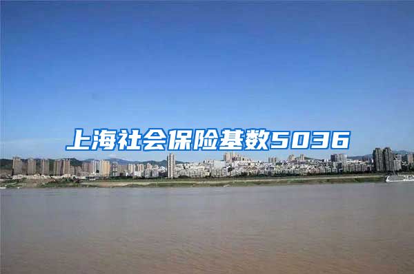 上海社会保险基数5036