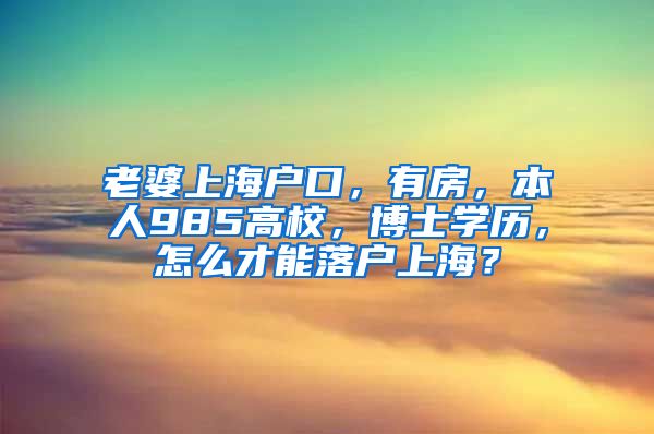 老婆上海户口，有房，本人985高校，博士学历，怎么才能落户上海？