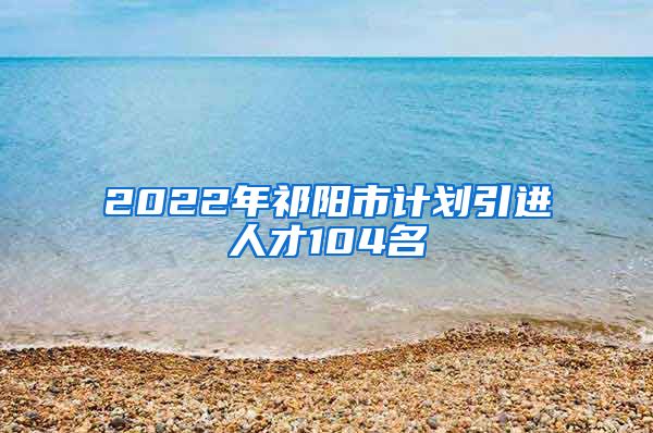2022年祁阳市计划引进人才104名