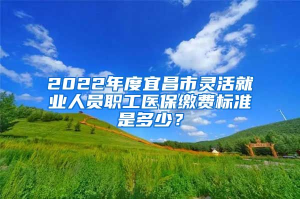 2022年度宜昌市灵活就业人员职工医保缴费标准是多少？