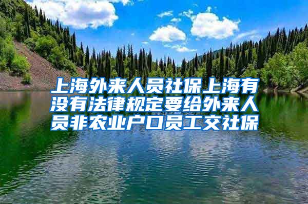 上海外来人员社保上海有没有法律规定要给外来人员非农业户口员工交社保