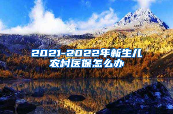 2021-2022年新生儿农村医保怎么办