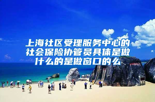 上海社区受理服务中心的社会保险协管员具体是做什么的是做窗口的么