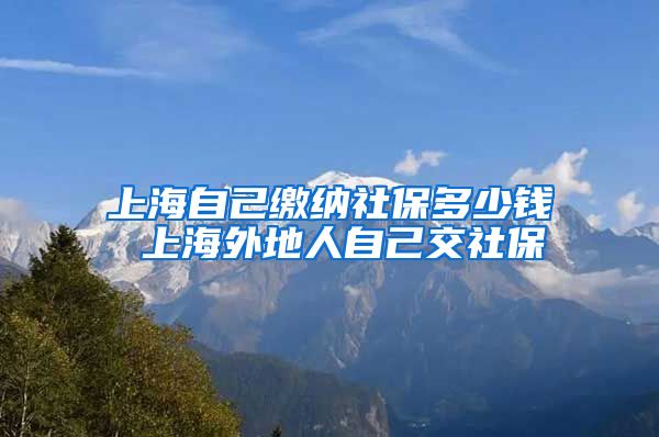 上海自己缴纳社保多少钱 上海外地人自己交社保