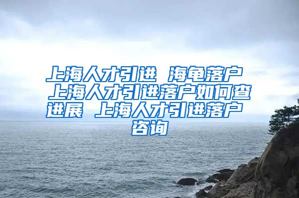 上海人才引进 海龟落户 上海人才引进落户如何查进展 上海人才引进落户 咨询