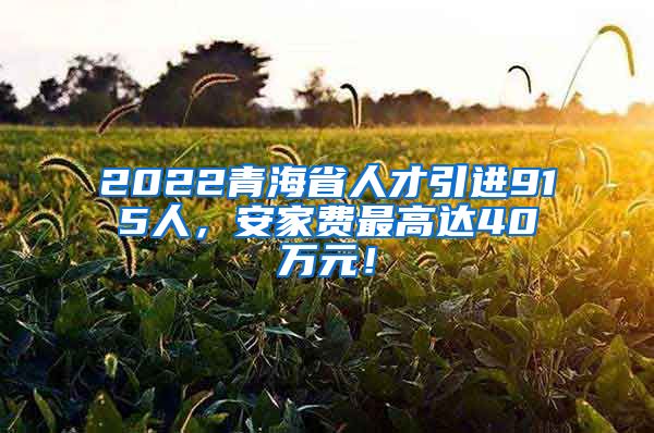 2022青海省人才引进915人，安家费最高达40万元！