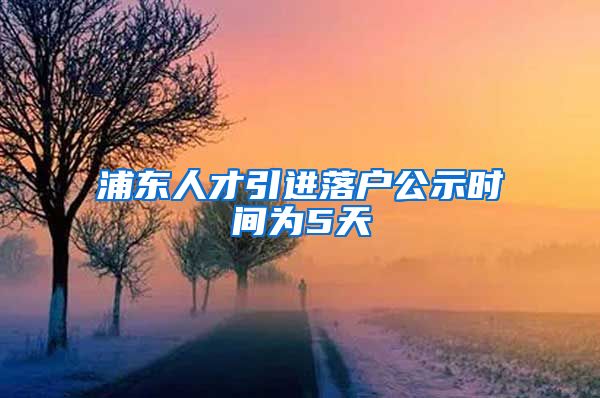 浦东人才引进落户公示时间为5天