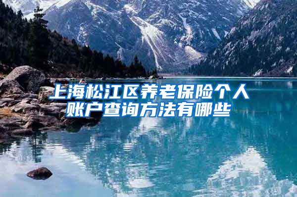 上海松江区养老保险个人账户查询方法有哪些