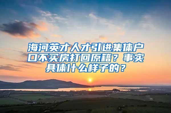 海河英才人才引进集体户口不买房打回原籍？事实具体什么样子的？