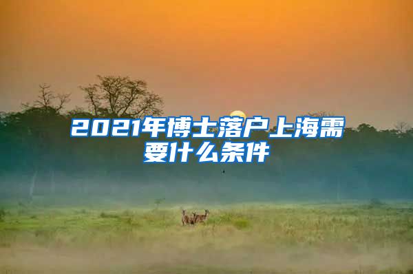 2021年博士落户上海需要什么条件