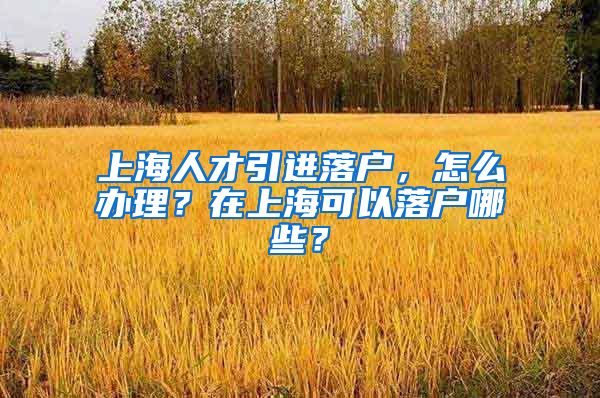 上海人才引进落户，怎么办理？在上海可以落户哪些？