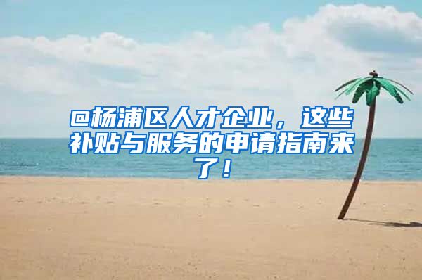 @杨浦区人才企业，这些补贴与服务的申请指南来了！