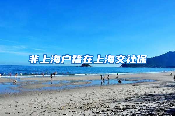 非上海户籍在上海交社保