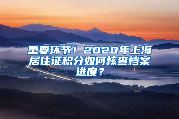 重要环节！2020年上海居住证积分如何核查档案进度？