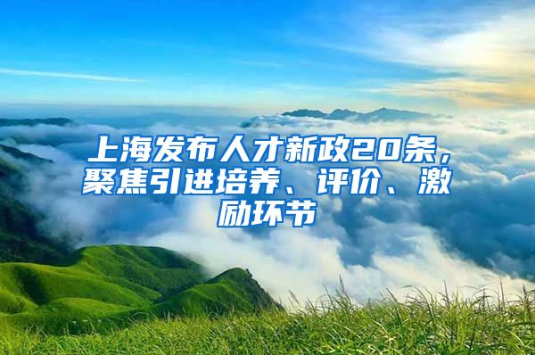 上海发布人才新政20条，聚焦引进培养、评价、激励环节