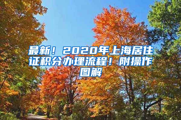 最新！2020年上海居住证积分办理流程！附操作图解