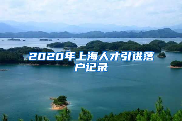 2020年上海人才引进落户记录