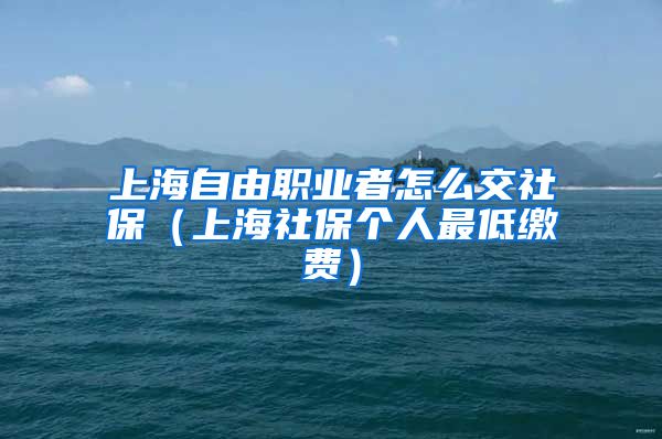 上海自由职业者怎么交社保（上海社保个人最低缴费）