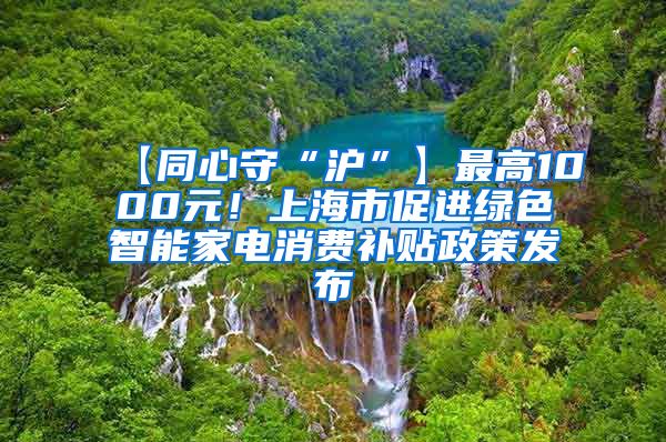 【同心守“沪”】最高1000元！上海市促进绿色智能家电消费补贴政策发布