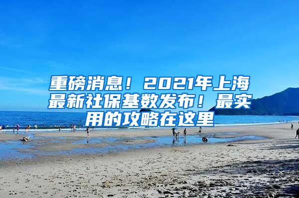重磅消息！2021年上海最新社保基数发布！最实用的攻略在这里