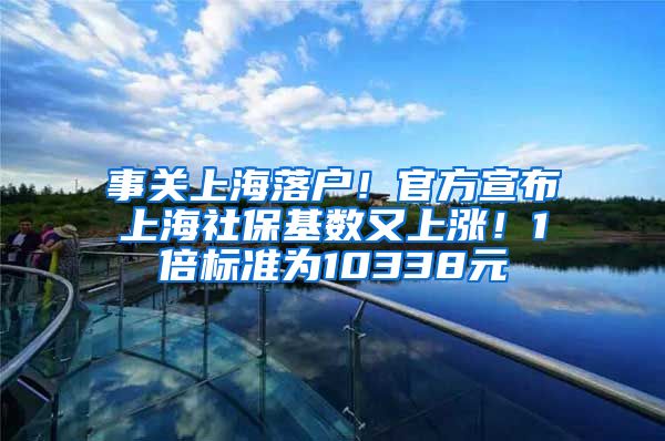 事关上海落户！官方宣布上海社保基数又上涨！1倍标准为10338元