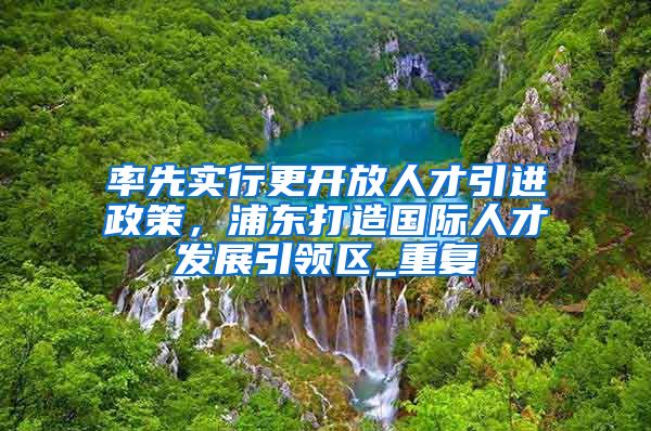 率先实行更开放人才引进政策，浦东打造国际人才发展引领区_重复