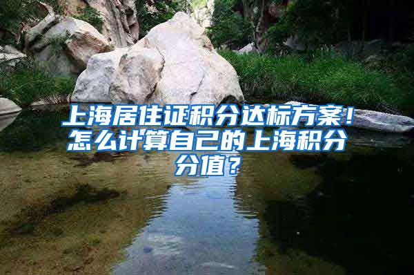 上海居住证积分达标方案！怎么计算自己的上海积分分值？