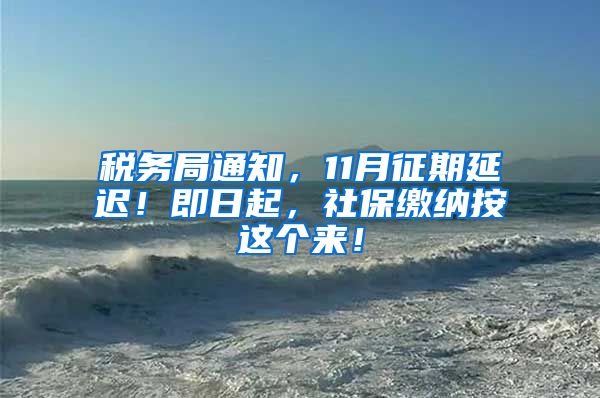 税务局通知，11月征期延迟！即日起，社保缴纳按这个来！