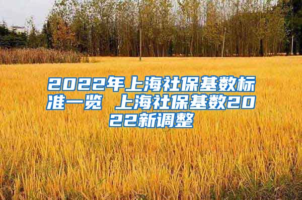 2022年上海社保基数标准一览 上海社保基数2022新调整