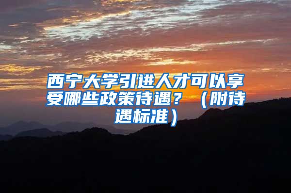 西宁大学引进人才可以享受哪些政策待遇？（附待遇标准）