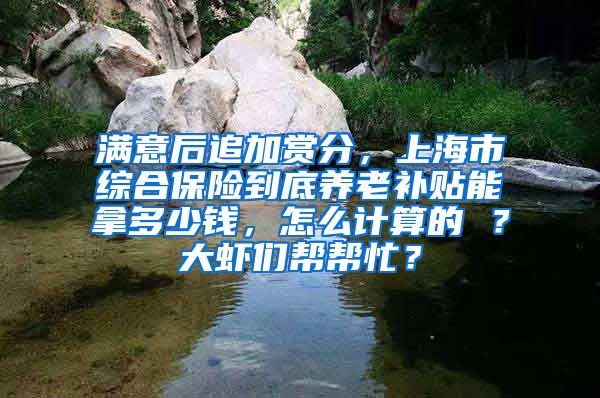 满意后追加赏分，上海市综合保险到底养老补贴能拿多少钱，怎么计算的 ？大虾们帮帮忙？